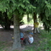 Versteck im Wald