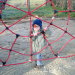 Fröschlein im Spinnennetz